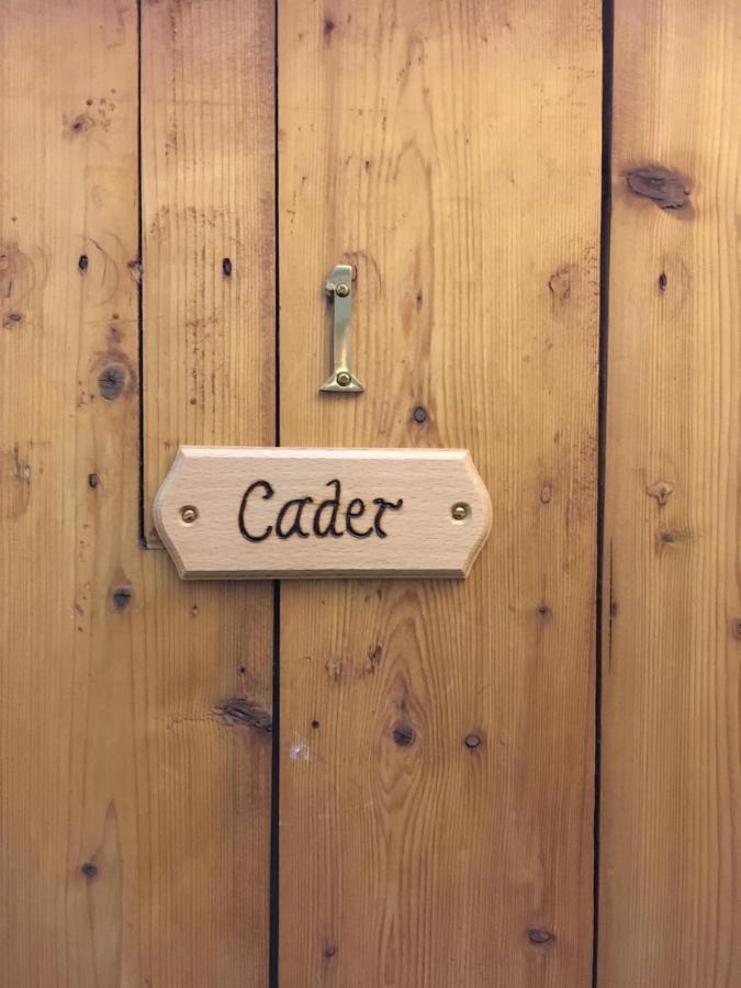 Aber Cottage B&B Долгелай Номер фото